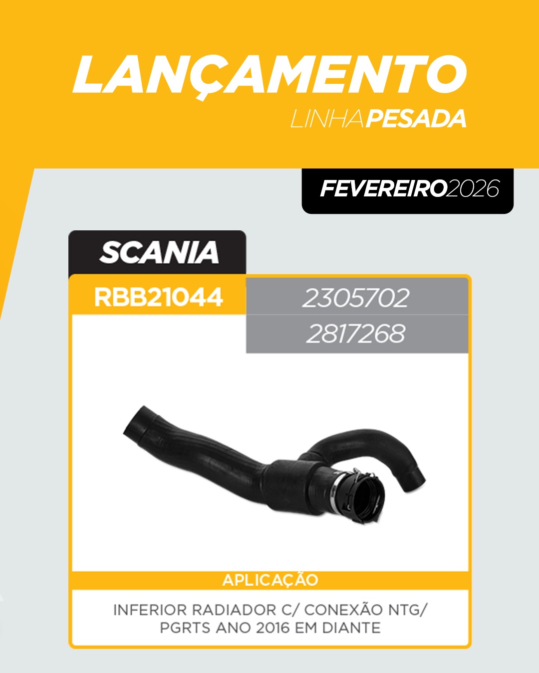 WhatsApp Image 2026-02-04 at 08.47.56