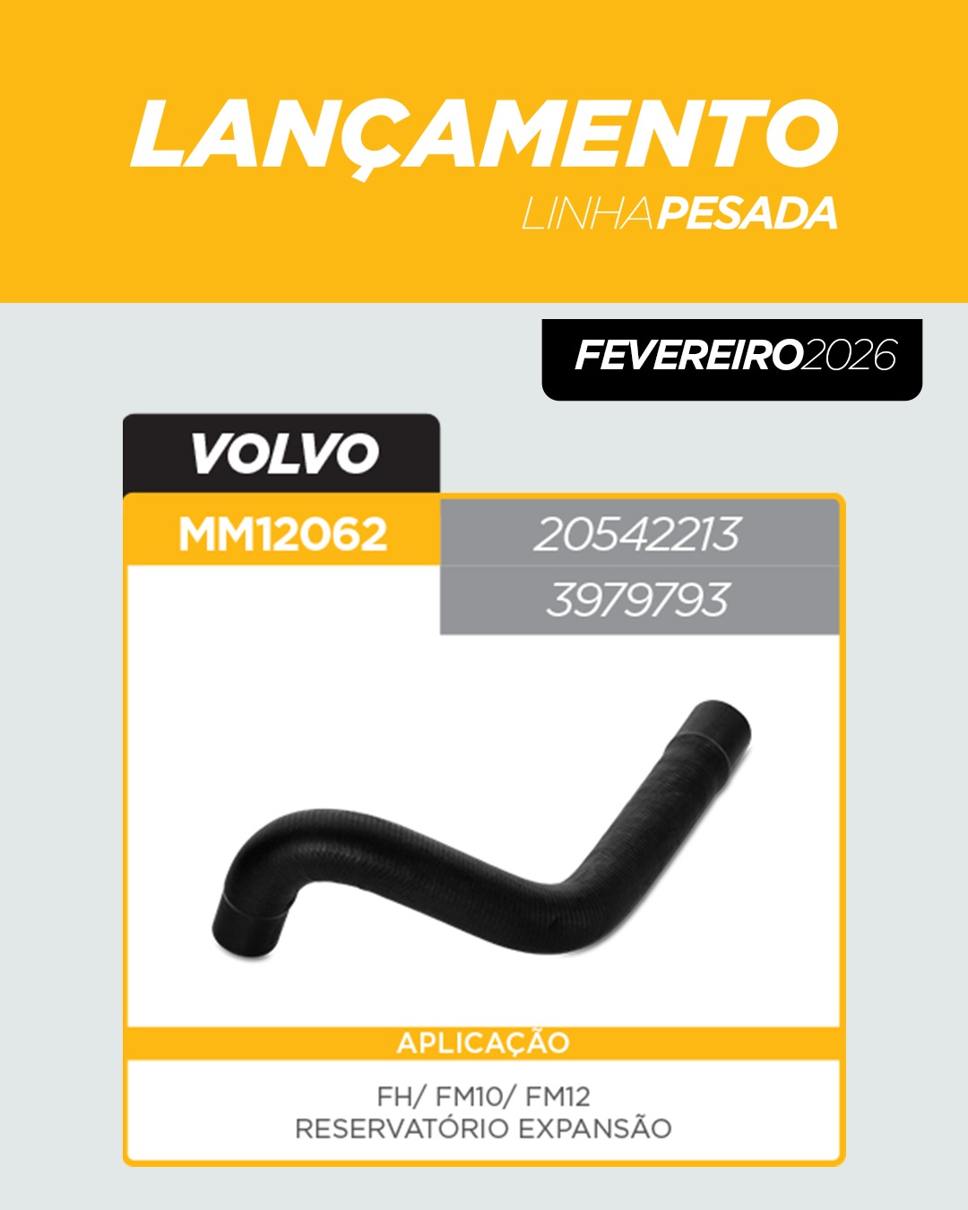 WhatsApp Image 2026-02-04 at 08.47.57